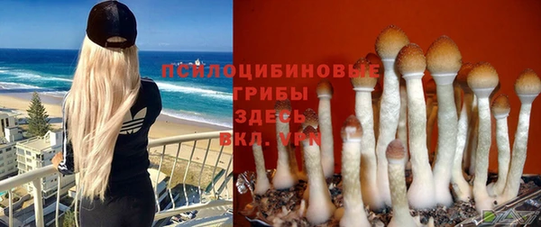 трава Белоозёрский