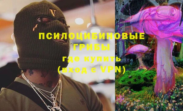 меф Белокуриха
