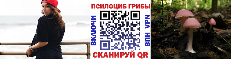 Псилоцибиновые грибы мицелий где можно купить наркотик Югорск